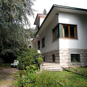 Villa Adele